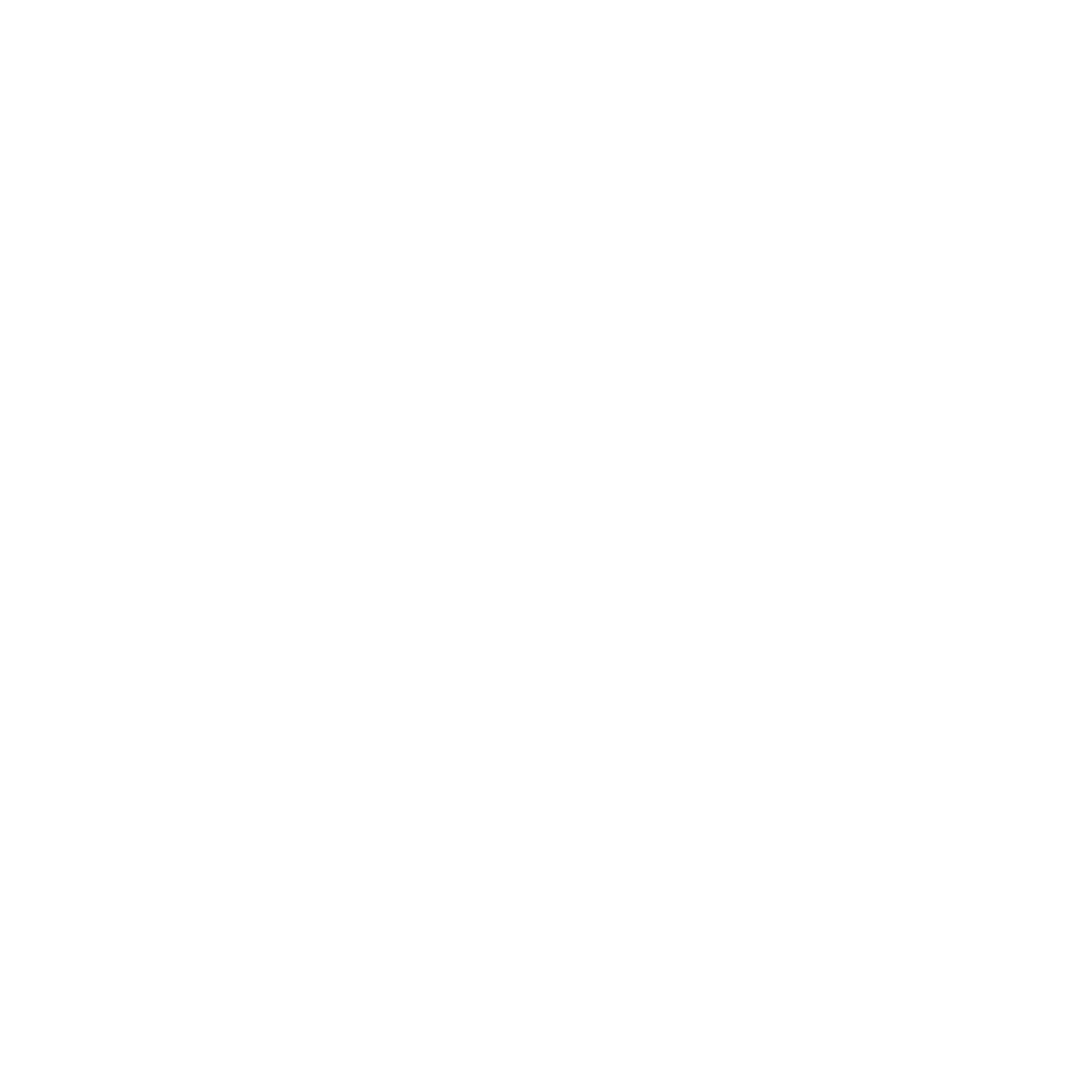 Smart Life Logo